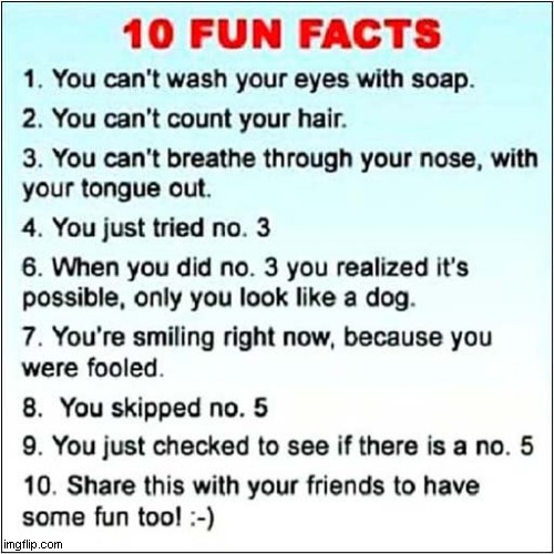 To Make You Smile ! | image tagged in fun,facts,list | made w/ Imgflip meme maker