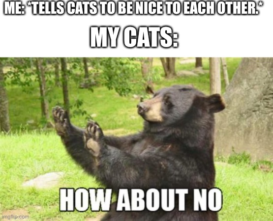 *Insert title here* | ME: *TELLS CATS TO BE NICE TO EACH OTHER.*; MY CATS: | image tagged in memes,how about no bear | made w/ Imgflip meme maker