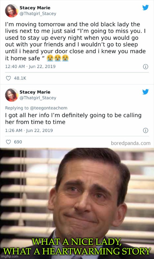 WHAT A NICE LADY, WHAT A HEARTWARMING STORY | image tagged in wholesome,lovely,enjoyable story,hope for society | made w/ Imgflip meme maker