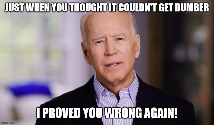 Joe Biden 2020 | JUST WHEN YOU THOUGHT IT COULDN'T GET DUMBER I PROVED YOU WRONG AGAIN! | image tagged in joe biden 2020 | made w/ Imgflip meme maker