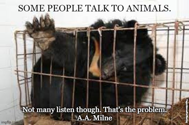 Bear Bile Farming |  SOME PEOPLE TALK TO ANIMALS. Not many listen though. That's the problem.

A.A. Milne; VeganMemesForSharing | image tagged in vegan,bear,winnie the pooh,bear bile,cruel | made w/ Imgflip meme maker