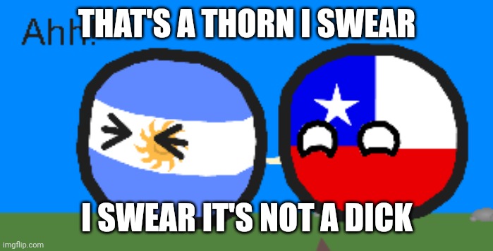 please don't put anything sexual in the comments or anywhere else in the meme | THAT'S A THORN I SWEAR; I SWEAR IT'S NOT A DICK | image tagged in argentinaball getting pierced | made w/ Imgflip meme maker