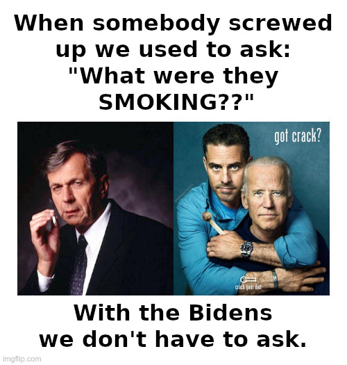 What Have They Been Smoking? Were Crack Pipes Involved? | image tagged in joe biden,hunter biden,smoking,crack,x-files | made w/ Imgflip meme maker