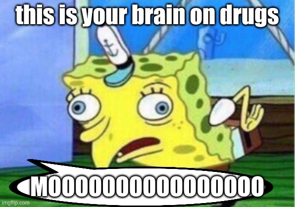 Mocking Spongebob Meme | this is your brain on drugs; MOOOOOOOOOOOOOOOO | image tagged in memes,mocking spongebob | made w/ Imgflip meme maker