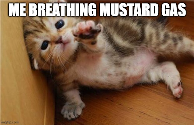 Help Me Kitten | ME BREATHING MUSTARD GAS | image tagged in help me kitten | made w/ Imgflip meme maker