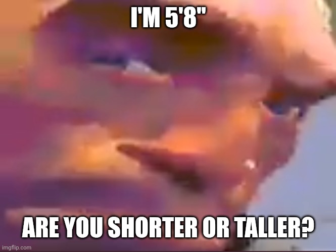 Heavy eyebrow | I'M 5'8"; ARE YOU SHORTER OR TALLER? | image tagged in heavy eyebrow | made w/ Imgflip meme maker