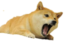 High Quality Doge screaming Blank Meme Template