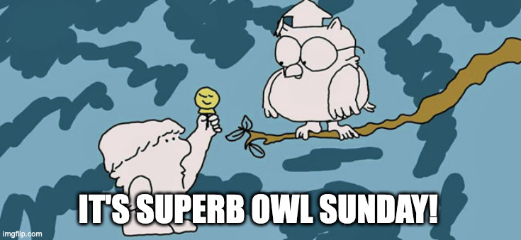 SUPERB OWL SUNDAY |  IT'S SUPERB OWL SUNDAY! | image tagged in tootsie roll owl,super bowl,nerdy,geeky,70s,70s commercial | made w/ Imgflip meme maker
