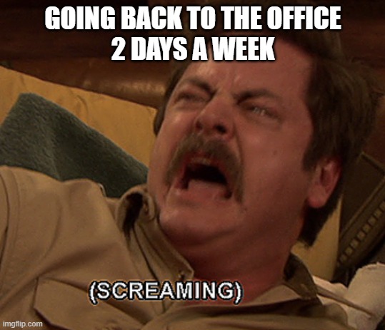 Hybrid working | GOING BACK TO THE OFFICE
2 DAYS A WEEK | image tagged in ron swanson screaming | made w/ Imgflip meme maker