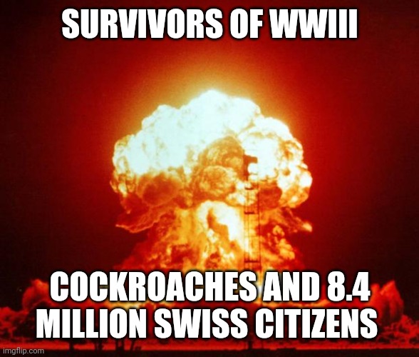 Nuke | SURVIVORS OF WWIII; COCKROACHES AND 8.4 MILLION SWISS CITIZENS | image tagged in nuke | made w/ Imgflip meme maker