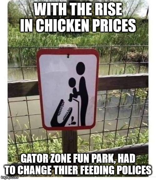 feeding time | WITH THE RISE IN CHICKEN PRICES; GATOR ZONE FUN PARK, HAD TO CHANGE THIER FEEDING POLICES | image tagged in fun | made w/ Imgflip meme maker