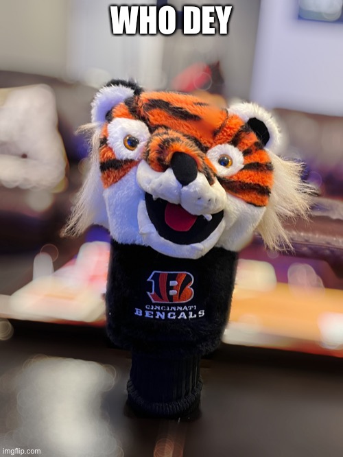 Who Dey | WHO DEY | image tagged in who dey | made w/ Imgflip meme maker