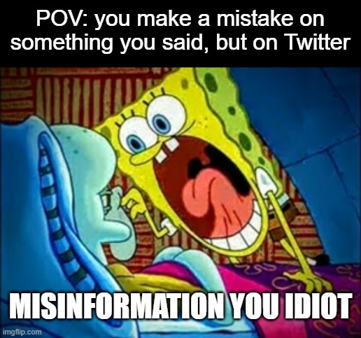 Chill out over a mistake | POV: you make a mistake on something you said, but on Twitter; MISINFORMATION YOU IDIOT | image tagged in spongebob yelling | made w/ Imgflip meme maker