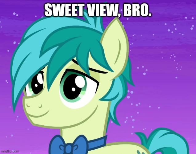 Happy Sandbar (MLP) | SWEET VIEW, BRO. | image tagged in happy sandbar mlp | made w/ Imgflip meme maker
