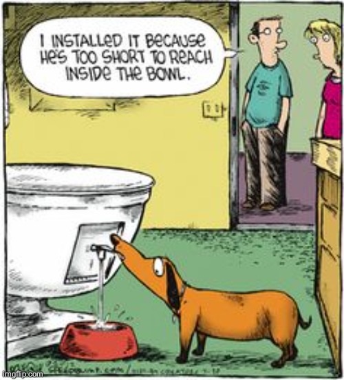 Dog bowl | image tagged in dog,dogs,bowl,comics/cartoons,comics,comic | made w/ Imgflip meme maker