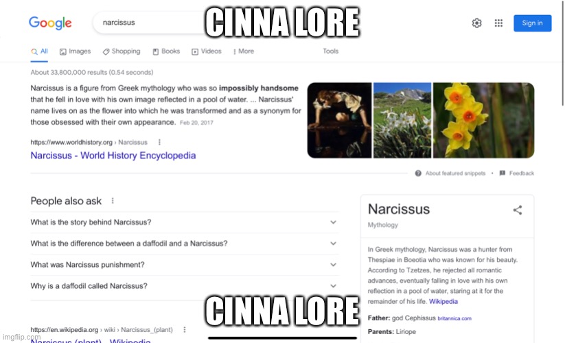 CINNA LORE; CINNA LORE | made w/ Imgflip meme maker