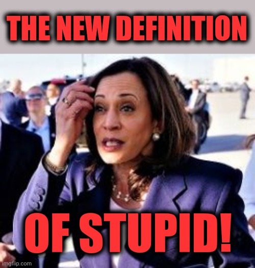 THE NEW DEFINITION OF STUPID! | made w/ Imgflip meme maker