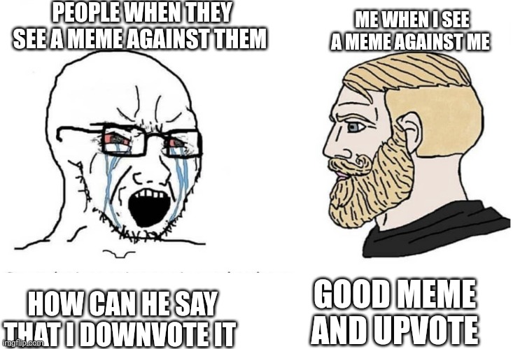 Soyboy Vs Yes Chad | PEOPLE WHEN THEY SEE A MEME AGAINST THEM; ME WHEN I SEE A MEME AGAINST ME; GOOD MEME AND UPVOTE; HOW CAN HE SAY THAT I DOWNVOTE IT | image tagged in soyboy vs yes chad | made w/ Imgflip meme maker