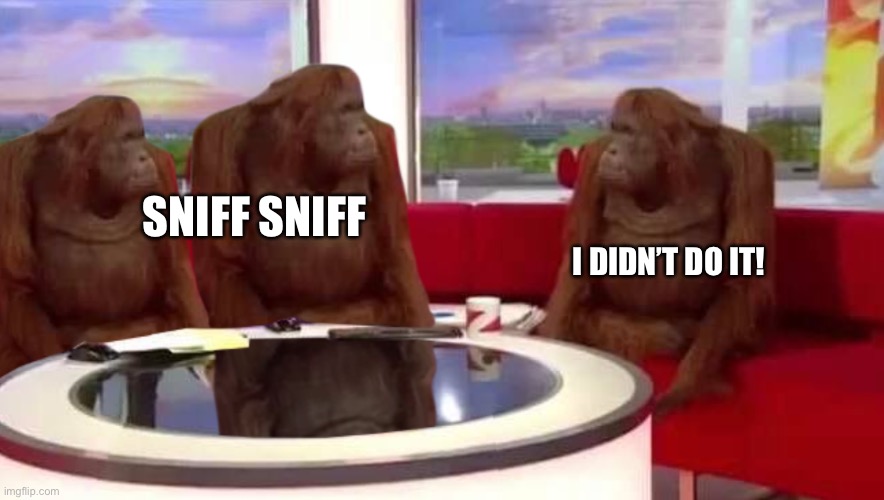 What was THAT? | SNIFF SNIFF; I DIDN’T DO IT! | image tagged in memes | made w/ Imgflip meme maker