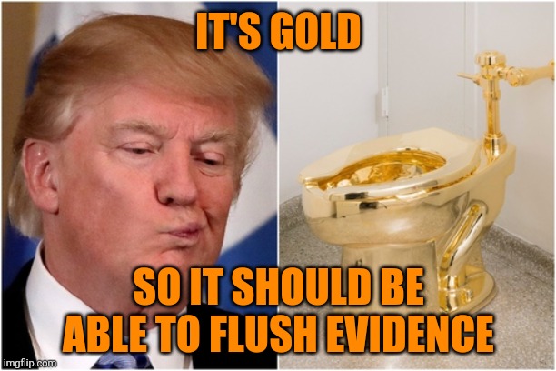 What a shithead | IT'S GOLD; SO IT SHOULD BE ABLE TO FLUSH EVIDENCE | image tagged in trump lies,cover up,golden showers,move that miserable piece of shit | made w/ Imgflip meme maker