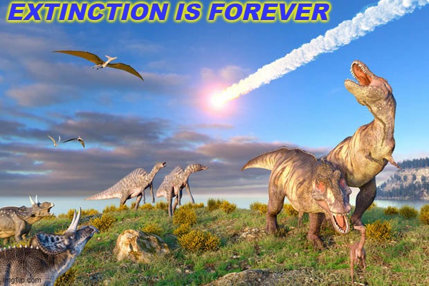 Extinction is Forever | EXTINCTION IS FOREVER | image tagged in dino extinction | made w/ Imgflip meme maker