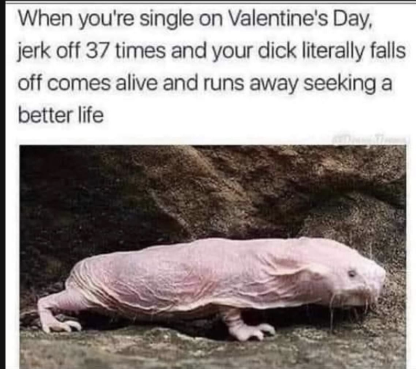mole rat single valentines day Blank Meme Template