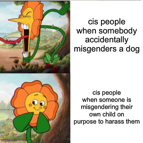 :zad: | cis people when somebody accidentally misgenders a dog; cis people when someone is misgendering their own child on purpose to harass them | image tagged in cuphead flower | made w/ Imgflip meme maker