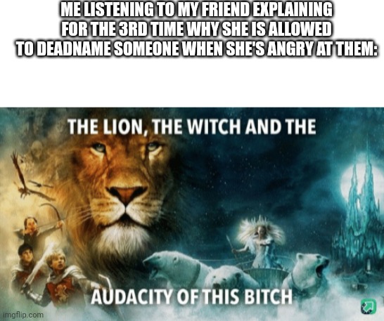 That's not how it works bitch | ME LISTENING TO MY FRIEND EXPLAINING FOR THE 3RD TIME WHY SHE IS ALLOWED TO DEADNAME SOMEONE WHEN SHE'S ANGRY AT THEM: | image tagged in the lion the witch and the audacity of this bitch | made w/ Imgflip meme maker