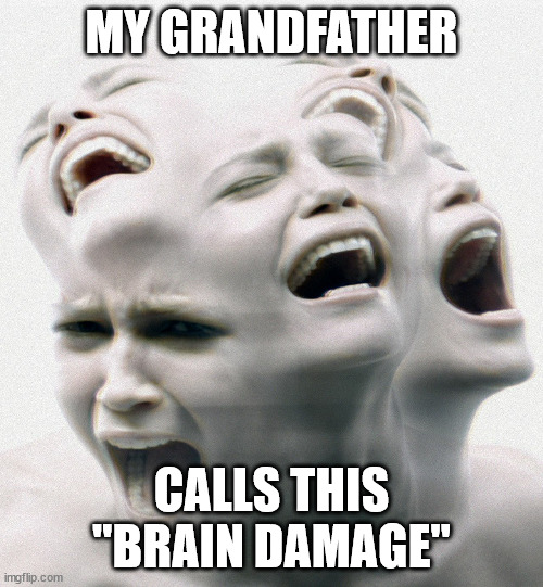 My Grandfather Calls This Brain Damage | MY GRANDFATHER; CALLS THIS "BRAIN DAMAGE" | image tagged in png woman with mental illness | made w/ Imgflip meme maker