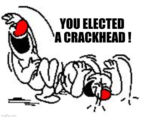LOL Hysterically | YOU ELECTED       
A CRACKHEAD ! | image tagged in lol hysterically | made w/ Imgflip meme maker