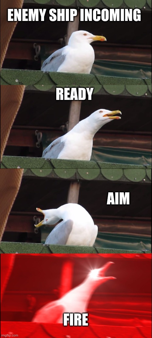 Inhaling Seagull | ENEMY SHIP INCOMING; READY; AIM; FIRE | image tagged in memes,inhaling seagull | made w/ Imgflip meme maker