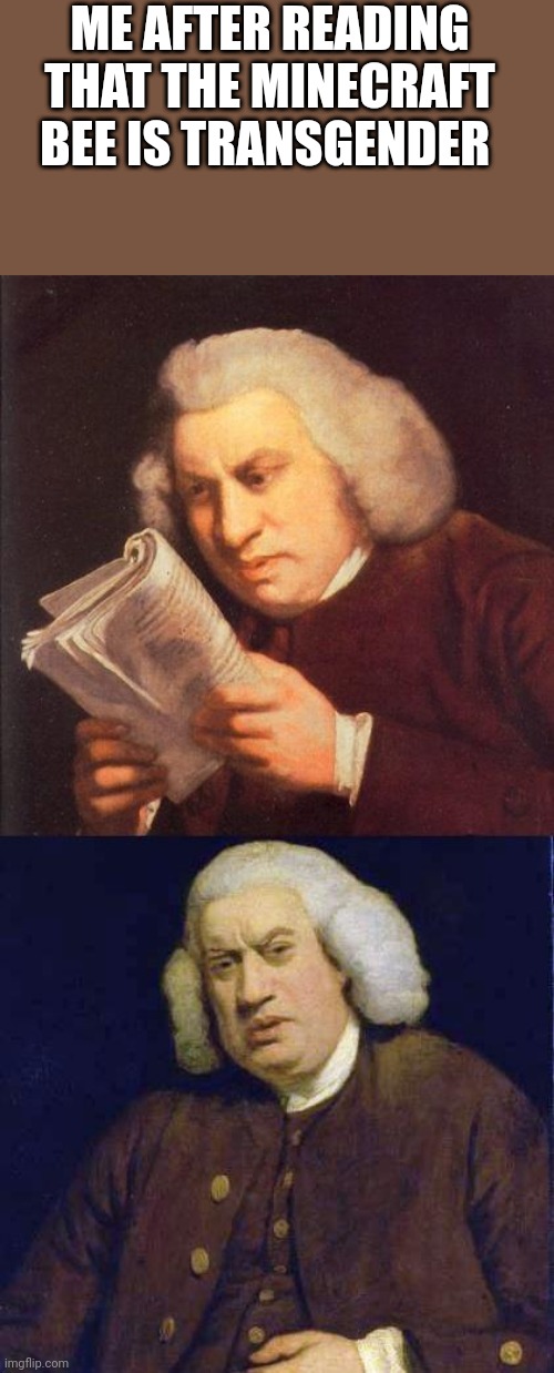 Dafuq did I just read | ME AFTER READING THAT THE MINECRAFT BEE IS TRANSGENDER | image tagged in dafuq did i just read | made w/ Imgflip meme maker
