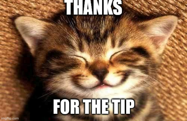 thanks | FOR THE TIP | image tagged in thanks | made w/ Imgflip meme maker