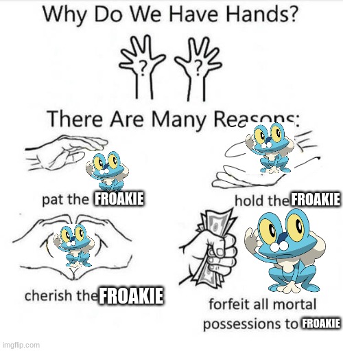 Why Do We Have Hands | FROAKIE FROAKIE FROAKIE FROAKIE | image tagged in why do we have hands | made w/ Imgflip meme maker