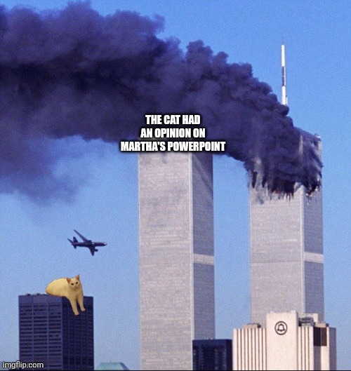 Cats have plotted to kill you for years | THE CAT HAD AN OPINION ON MARTHA'S POWERPOINT | image tagged in twin towers and cat,space shuttle internet | made w/ Imgflip meme maker