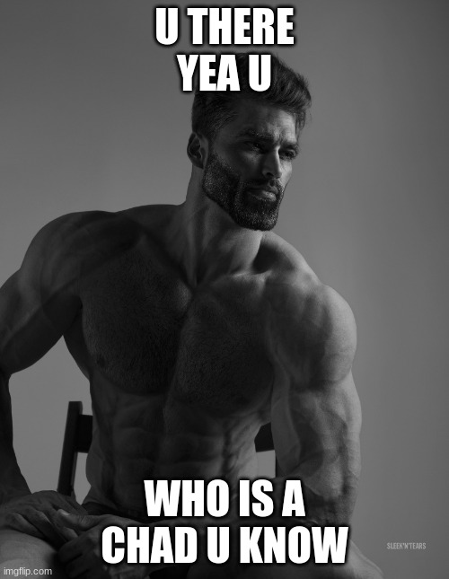 ©H@Ð | U THERE
YEA U; WHO IS A CHAD U KNOW | image tagged in giga chad,chad,imgflip users | made w/ Imgflip meme maker