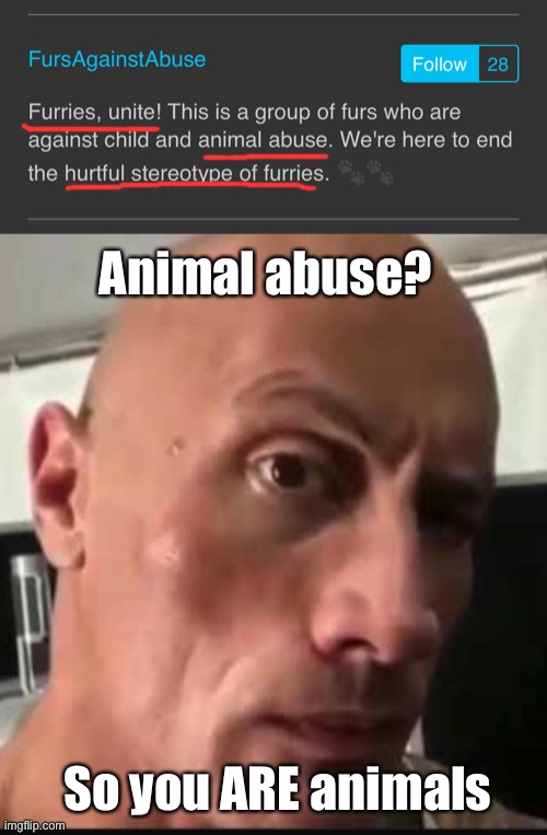 LET’S GO HUNTING | Animal abuse? So you ARE animals | image tagged in dwayne johnson eyebrow raise | made w/ Imgflip meme maker