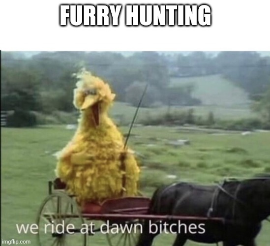 We ride at dawn bitches | FURRY HUNTING | image tagged in we ride at dawn bitches | made w/ Imgflip meme maker