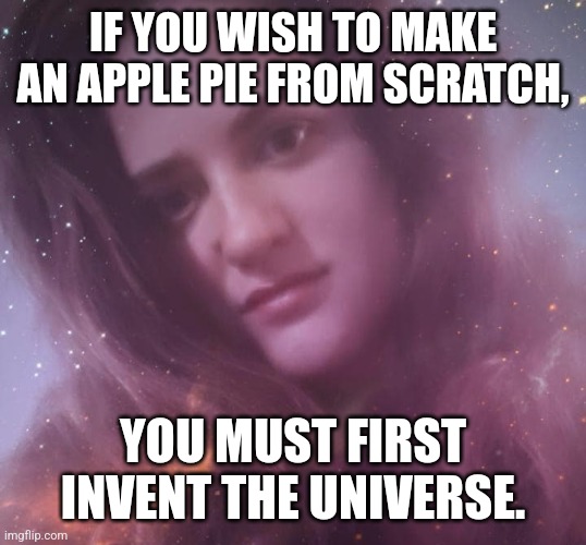 Life coach is high again | IF YOU WISH TO MAKE AN APPLE PIE FROM SCRATCH, YOU MUST FIRST INVENT THE UNIVERSE. | image tagged in life coach mary margaret,carl sagan,life lessons,life hack | made w/ Imgflip meme maker