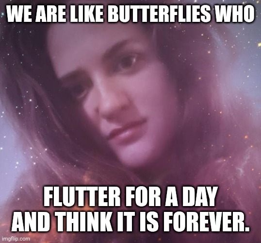 Life Coach Mary Margaret | WE ARE LIKE BUTTERFLIES WHO; FLUTTER FOR A DAY AND THINK IT IS FOREVER. | image tagged in life coach mary margaret,trauma,grief,life advice,coaching,sadness | made w/ Imgflip meme maker