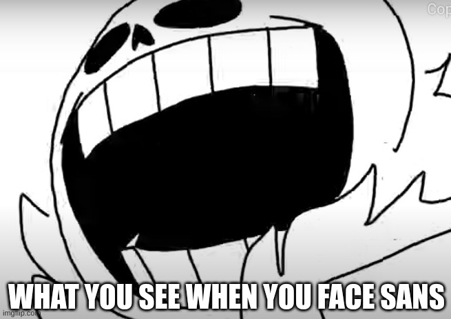 WHAT YOU SEE WHEN YOU FACE SANS | image tagged in sans,undertale | made w/ Imgflip meme maker