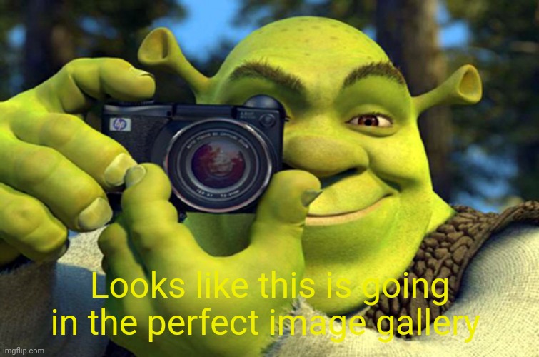 shrek camera | Looks like this is going in the perfect image gallery | image tagged in shrek camera | made w/ Imgflip meme maker
