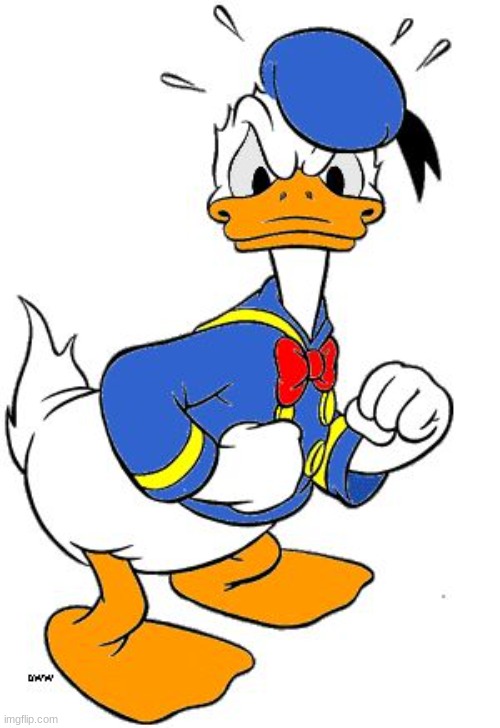 mad donald duck | image tagged in mad donald duck | made w/ Imgflip meme maker