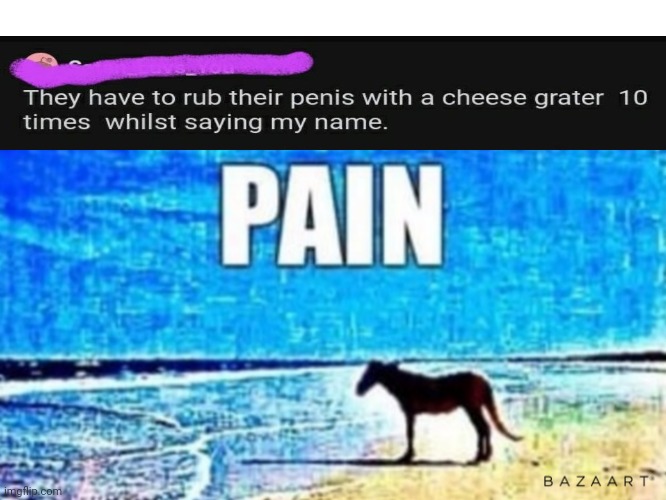 Pain horse | image tagged in pain horse | made w/ Imgflip meme maker