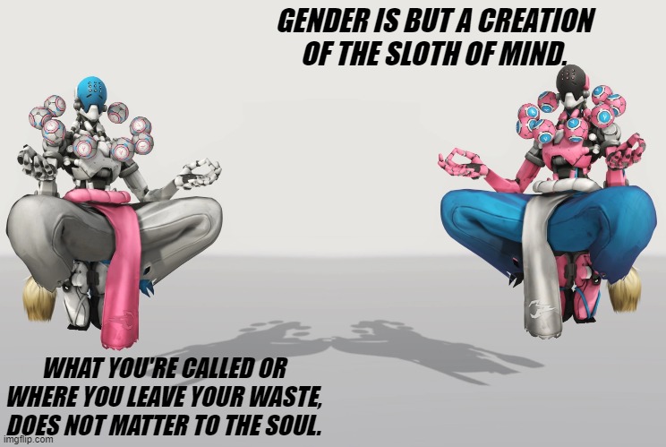 Listen to trans zenyatta, He knows some sh**. | GENDER IS BUT A CREATION OF THE SLOTH OF MIND. WHAT YOU'RE CALLED OR WHERE YOU LEAVE YOUR WASTE, DOES NOT MATTER TO THE SOUL. | image tagged in magic mushrooms,plus,meditation,equals,third eye,hah | made w/ Imgflip meme maker