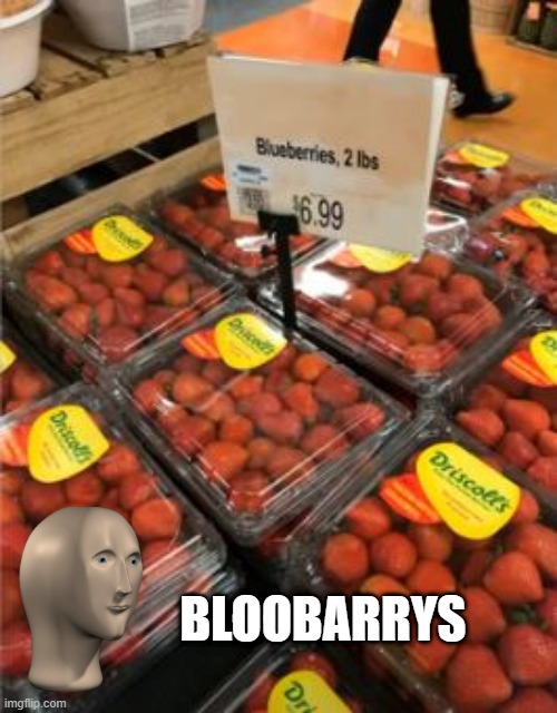 Damn That's Expensive Mislabelled Fruit | BLOOBARRYS | image tagged in you had one job | made w/ Imgflip meme maker