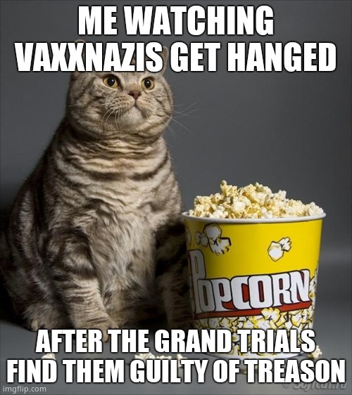 ME WATCHING VAXXNAZIS GET HANGED AFTER THE GRAND TRIALS FIND THEM GUILTY OF TREASON | image tagged in cat eating popcorn | made w/ Imgflip meme maker