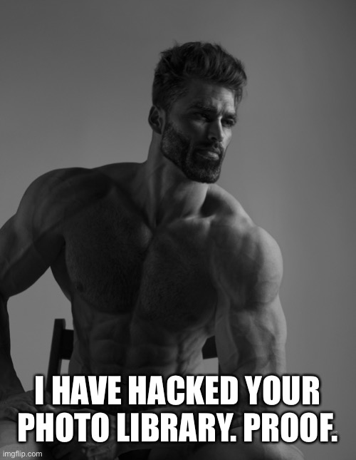 Giga Chad | I HAVE HACKED YOUR PHOTO LIBRARY. PROOF. | image tagged in giga chad | made w/ Imgflip meme maker