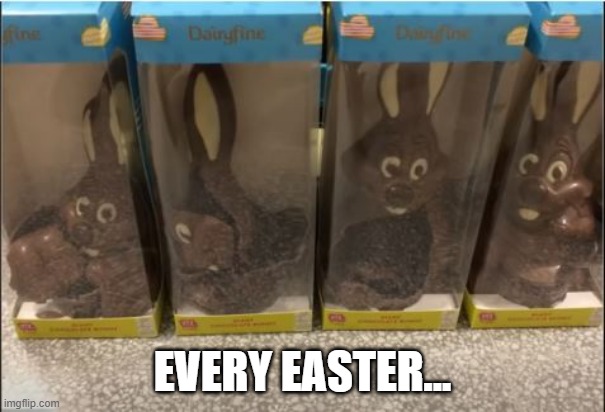Broken Bunny | EVERY EASTER... | image tagged in you had one job | made w/ Imgflip meme maker