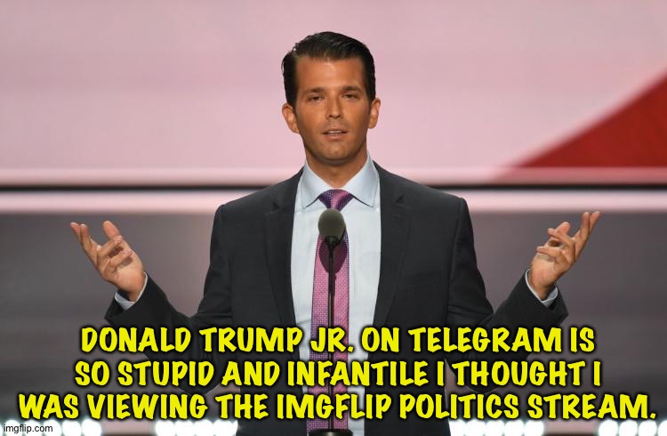 Don't believe me?   https://t.me/s/TrumpJr | DONALD TRUMP JR. ON TELEGRAM IS SO STUPID AND INFANTILE I THOUGHT I WAS VIEWING THE IMGFLIP POLITICS STREAM. | image tagged in donald trump jr | made w/ Imgflip meme maker